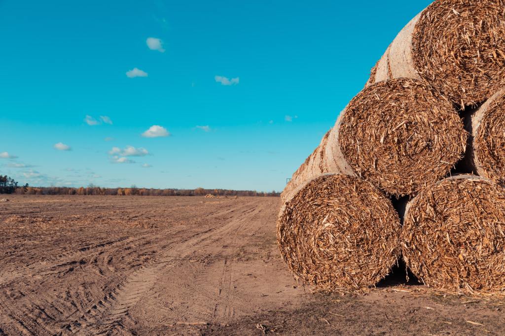 animal feedd farming business