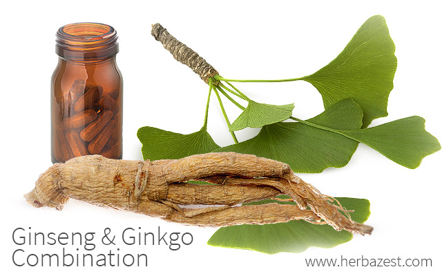 ginseng and ginkgo combination